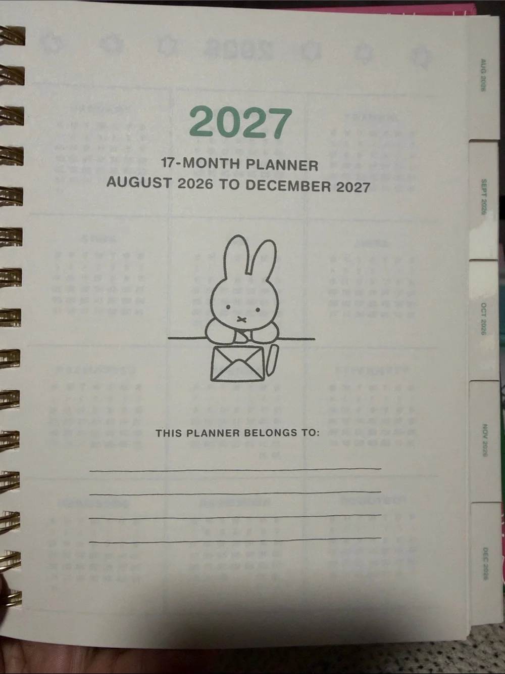 miffy cute character